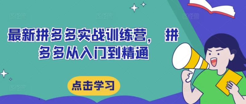 最新拼多多实战训练营， 拼多多从入门到精通| 网创圈