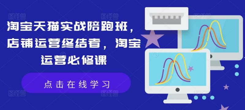 淘宝天猫实战陪跑班，店铺运营终结者，淘宝运营必修课| 网创圈