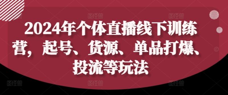 2024年个体直播训练营，起号、货源、单品打爆、投流等玩法| 网创圈