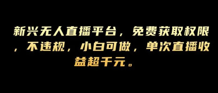 新兴无人直播平台，免费获取权限，不违规，小白可做，单次直播收益超千元| 网创圈