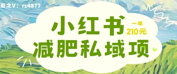 小红书减肥粉，私域变现项目，一单就达210元，小白也能轻松上手【揭秘】| 网创圈