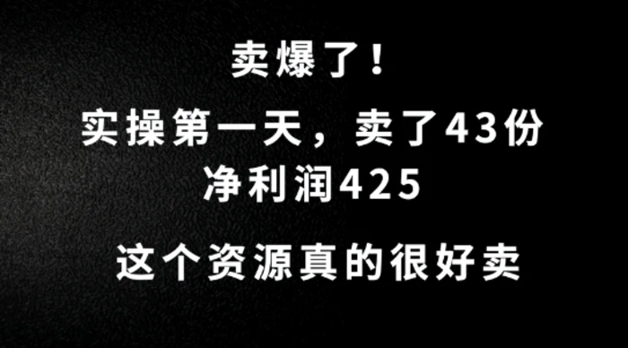 这个资源，需求很大，实操第一天卖了43份，净利润425【揭秘】| 网创圈