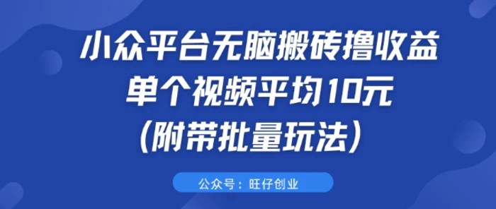 小众平台无脑搬砖撸收益 单个视频平均10元 (附带批量玩法)| 网创圈