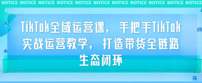 TikTok全域运营课，手把手TikTok实战运营教学，打造带货全链路生态闭环| 网创圈