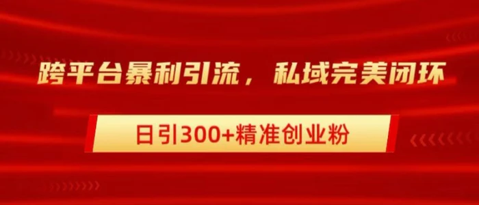 跨平台暴力引流，私域完美闭环，日引100+精准创业粉| 网创圈
