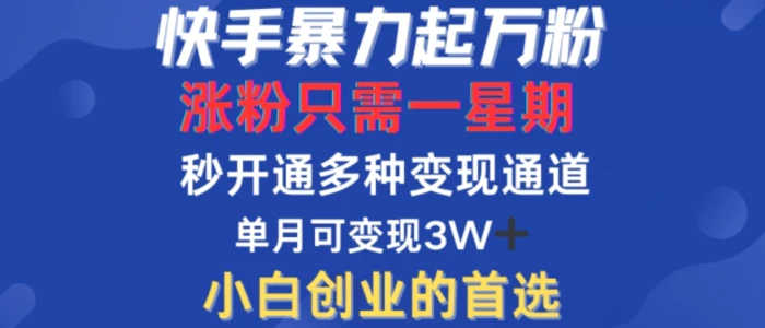 快手暴力起万粉，涨粉只需一星期，多种变现模式，直接秒开万合，单月变现过W【揭秘】| 网创圈