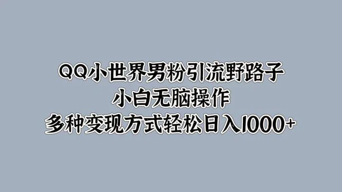 QQ小世界男粉引流野路子，小白无脑操作，多种变现方式| 网创圈