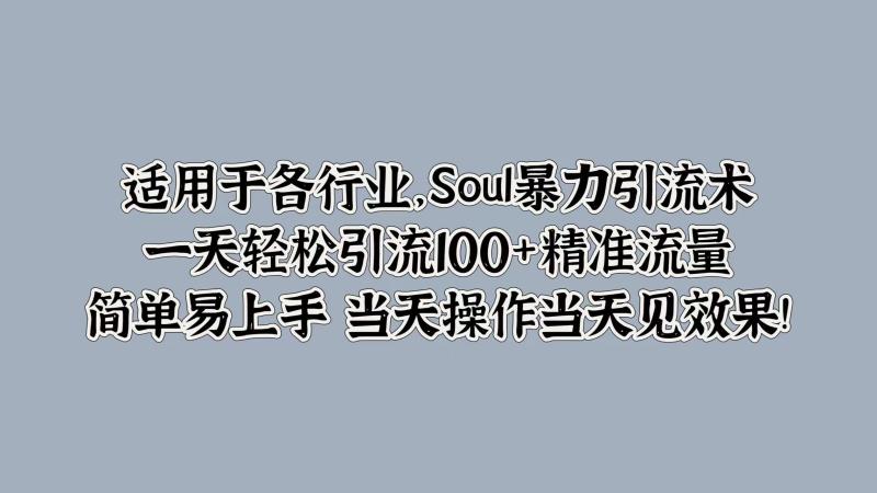 Soul暴力引流术，一天轻松引流100+精准流量，简单易上手 当天操作当天见效果!| 副业网