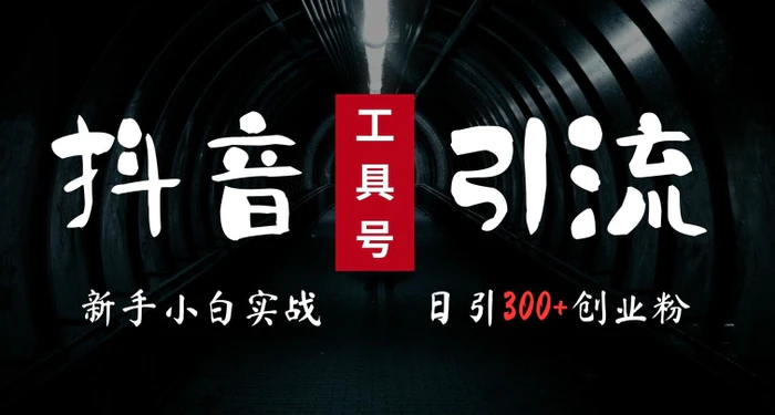 2024最新抖音工具号引流玩法，高效日引300+创业粉，当天变现5k，小白也可成为实战高手| 网创圈