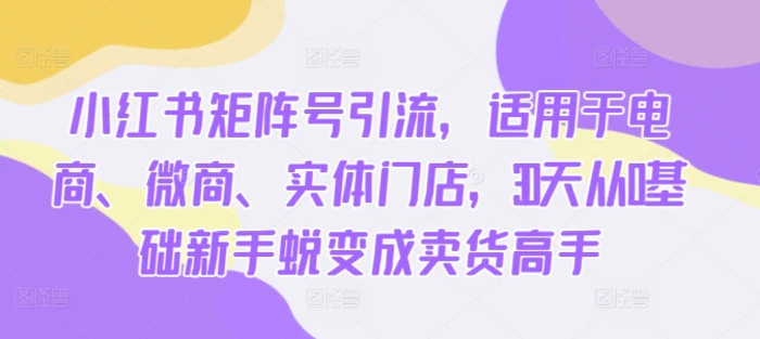 小红书矩阵号引流，适用于电商、微商、实体门店，30天从0基础新手蜕变成卖货高手| 网创圈