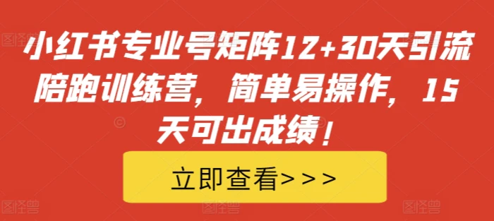 小红书专业号矩阵12+30天引流陪跑训练营，简单易操作，15天可出成绩!| 副业网