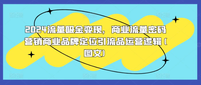 2024流量吸金变现，商业流量密码营销商业品牌定位引流品运营逻辑(图文)| 网创圈