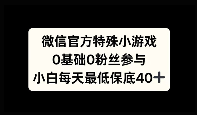 微信官方特定小游戏，0基础0粉丝，小白上手每天最少保底40+| 网创圈
