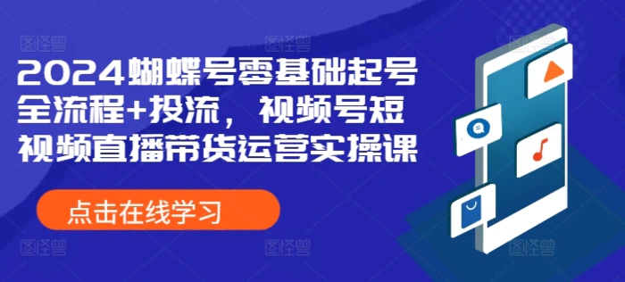 2024蝴蝶号零基础起号全流程+投流，视频号短视频直播带货运营实操课| 网创圈