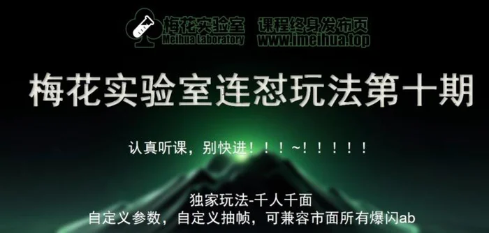 梅花实验室社群专享课视频号连怼玩法第十期课程+第二部分-FF助手全新高自由万能爆闪AB处理| 网创圈