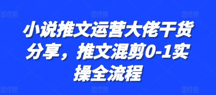 小说推文运营大佬干货分享，推文混剪0-1实操全流程| 网创圈