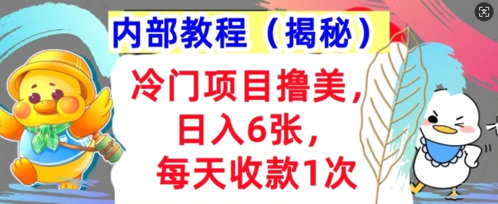 冷门项目撸美金，日入几张，每天收款1次，内部方法，首次公开!| 网创圈