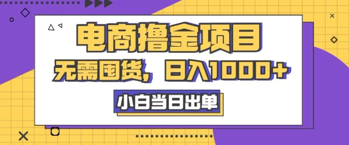 电商撸金项目，无需囤货，日入几张，小白当日出单，人性玩法，复购不断| 网创圈