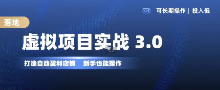 虚拟项目实战3.0，打造自动盈利店铺，可长期操作投入低，新手也能操作| 网创圈