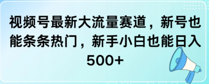 视频号最新大流量赛道，新号也能条条热门，新手小白也能日入5张| 网创圈