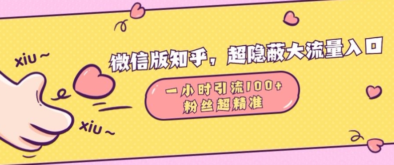 图片[1]| 微信版知乎，超隐蔽流量入口1小时引流100人，粉丝质量超高【揭秘】| 网创圈