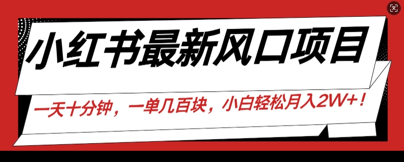 小红书最新风口项目，一天只用10分钟，一单几百块，小白简单无脑操作!| 网创圈
