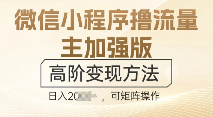 微信小程序撸流量主加强版，高阶变现方法，日收益多张| 副业网