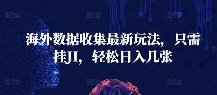 海外数据收集最新玩法，只需挂JI，轻松日入几张| 网创圈