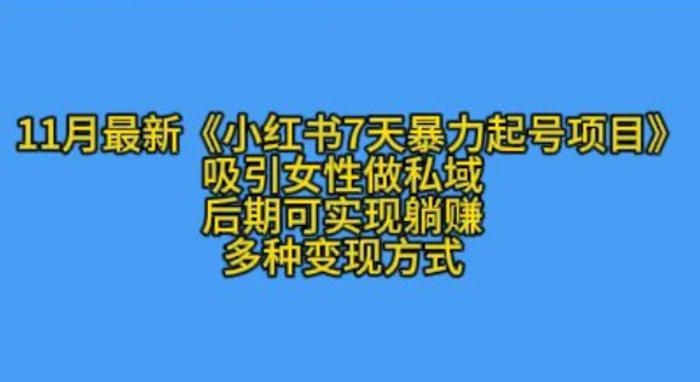 K总部落11月最新小红书7天暴力起号项目，吸引女性做私域【揭秘】| 网创圈