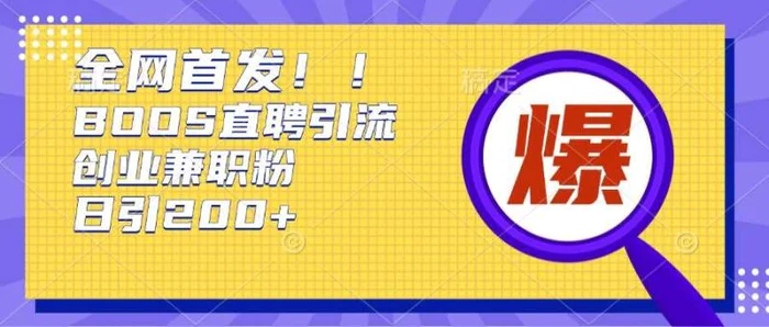 通过Boss直聘，每天轻松钓到200+多条创业大鱼的秘籍【揭秘】| 网创圈