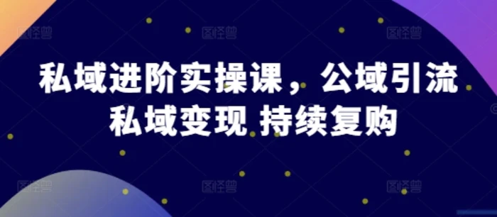 私域进阶实操课，公域引流 私域变现 持续复购| 网创圈