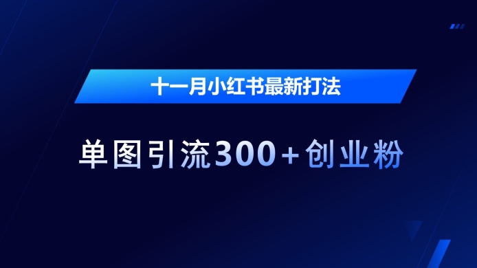 十一月小红书最新打法，单图引流300+创业粉【揭秘】| 网创圈