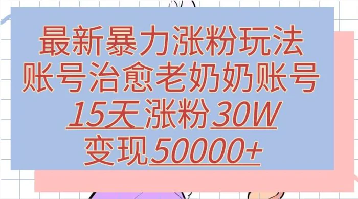 最新暴力涨粉玩法，治愈老奶奶账号，15天涨粉30W，变现至少五位数+| 网创圈