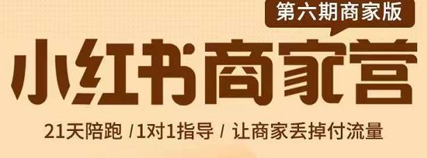 贾真-小红书商家营第6期商家版，21天带货陪跑课，让商家丢掉付流量| 网创圈