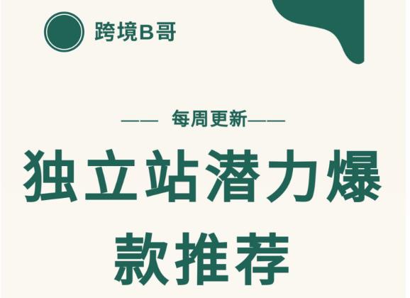 【跨境B哥】独立站潜力爆款选品推荐，测款出单率高达百分之80| 网创圈