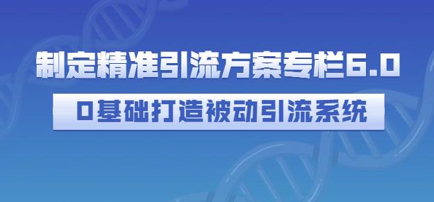 制定精准引流方案专栏6.0，0基础打造被动引流系统| 网创圈