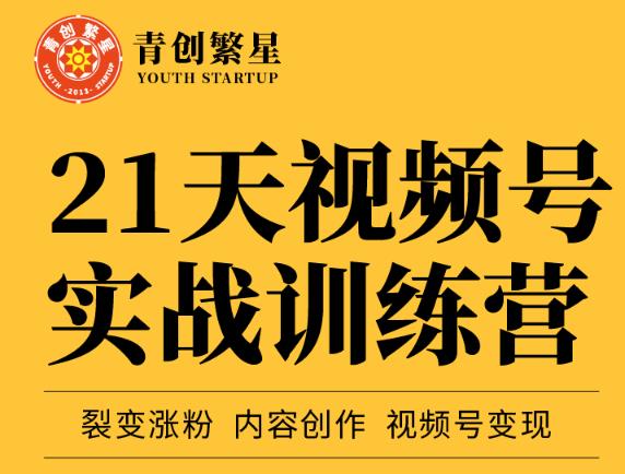 张萌21天视频号实战训练营，裂变涨粉、内容创作、视频号变现 价值298元| 网创圈