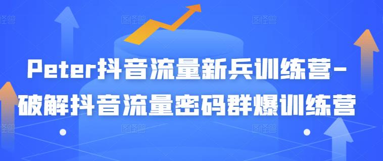 Peter抖音流量新兵训练营-破解抖音流量密码群爆训练营（新兵）| 网创圈