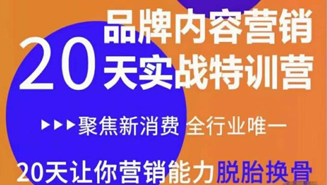 《内容营销实操特训营》20天让你营销能力脱胎换骨（价值3999）| 网创圈