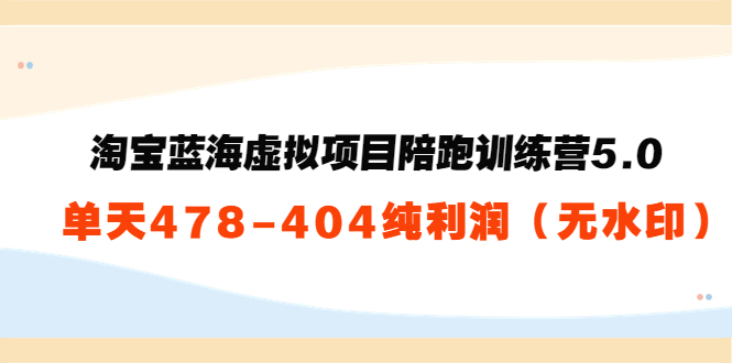 淘宝蓝海虚拟项目陪跑训练营5.0：单天478纯利润| 网创圈