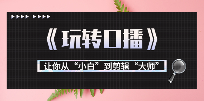 月营业额700万+大佬教您《玩转口播》让你从“小白”到剪辑“大师”| 网创圈