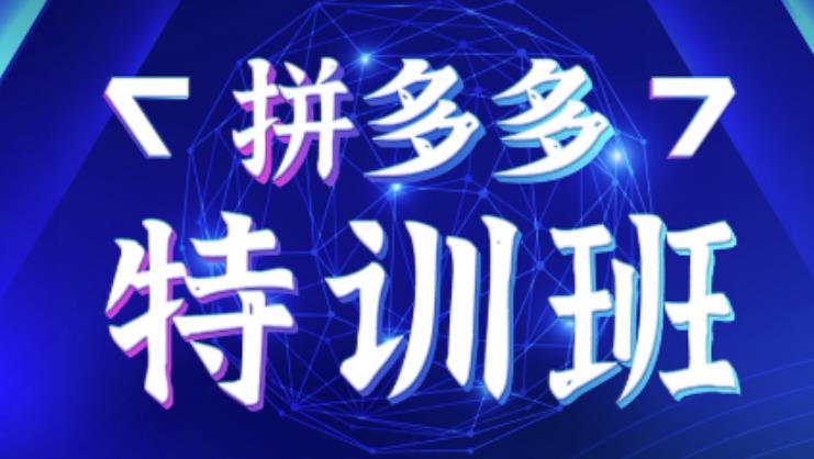 星雪教育·拼多多基础班+进阶班+突破班，用系统的学习模式快速改变现状价值3580元| 网创圈