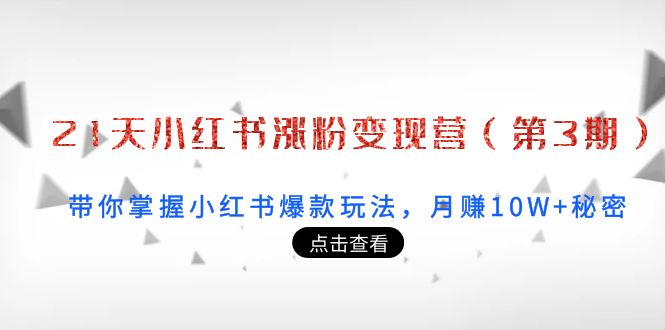 21天小红书涨粉变现营（第3期）：带你掌握小红书爆款玩法，月赚10W+秘密| 网创圈