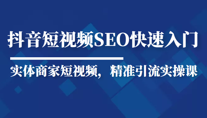 抖音短视频Seo搜索排名优化新手快速入门教程，实体商家短视频，精准引流实操课| 网创圈