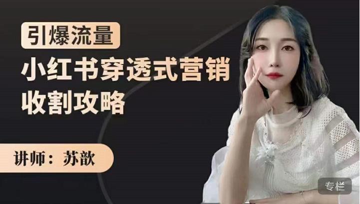 苏歆：小红书穿透式营销收割攻略，引爆流量，助你玩转小红书| 网创圈
