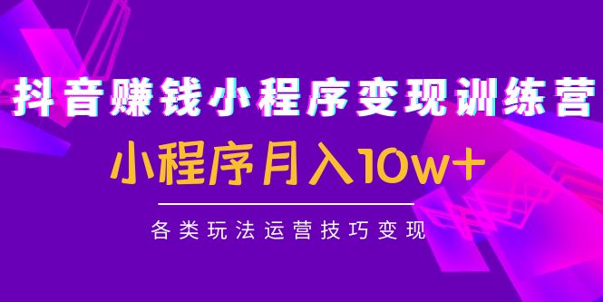 抖音赚钱小程序变现训练营：小程序月入10w+各类玩法运营技巧变现| 网创圈
