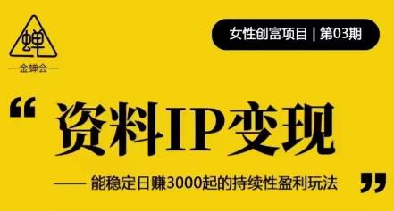 资料IP变现，能稳定日赚3000起的持续性盈利玩法| 网创圈