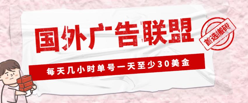 外面收费1980的最新国外LEAD广告联盟搬砖项目，单号一天至少30美金【详细玩法教程】| 副业网