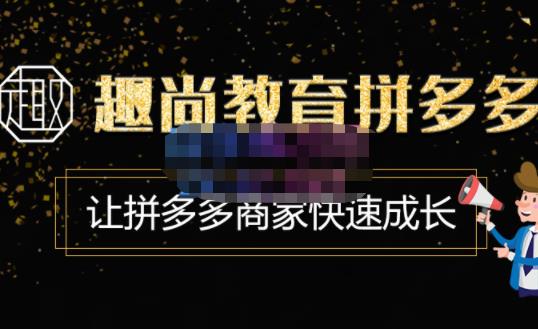 趣尚教育·拼多多运营实操VIP特训营，让拼多多商家快速成长-价值3180元| 网创圈