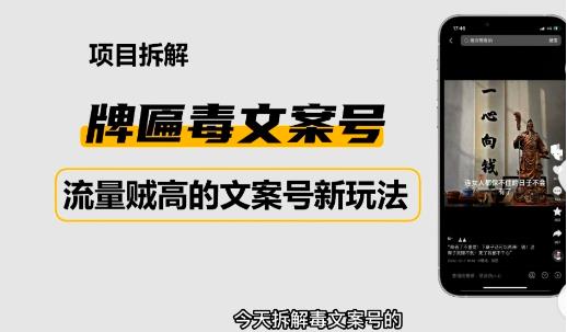 2023抖音快手毒文案新玩法，牌匾文案号，起号快易变现| 网创圈